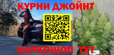 прущие крисы Лесосибирск