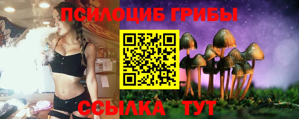 Галлюциногенные грибы мухоморы  Вход с VPN  Железноводск  Псилоцибиновые грибы Psilocybe 