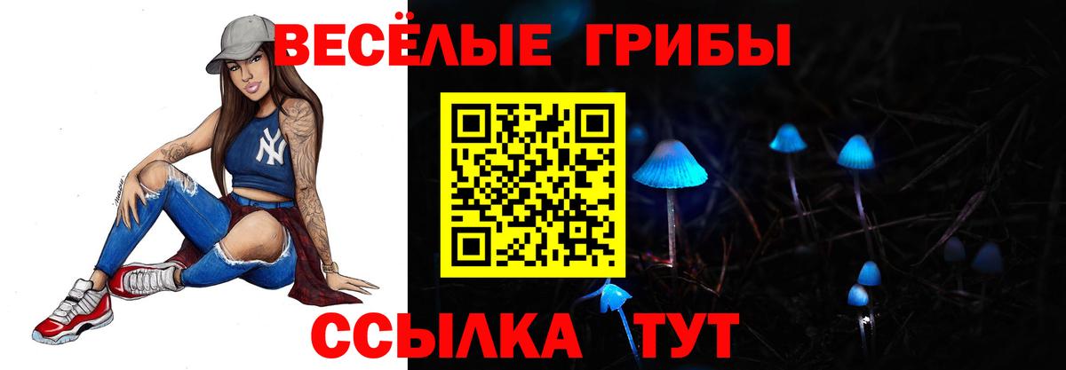 Галлюциногенные грибы Psilocybine cubensis Железноводск